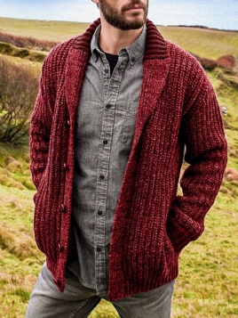 Lapel Vanlig Standard Herre Casual Genser